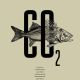 CO2鱼-创意
