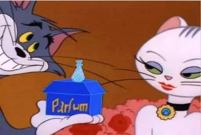 猫和老鼠汤姆求爱输给黑猫仅仅是因为穷吗他还输了这样东西