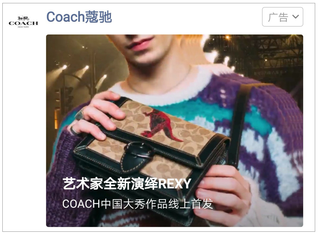 Coach中国大秀系列，4位中国艺术家颠覆演绎全新小恐龙REXY