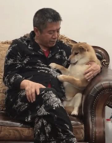 柴犬掉牙心情复杂主人开导柴犬的表情神秘笑翻网友