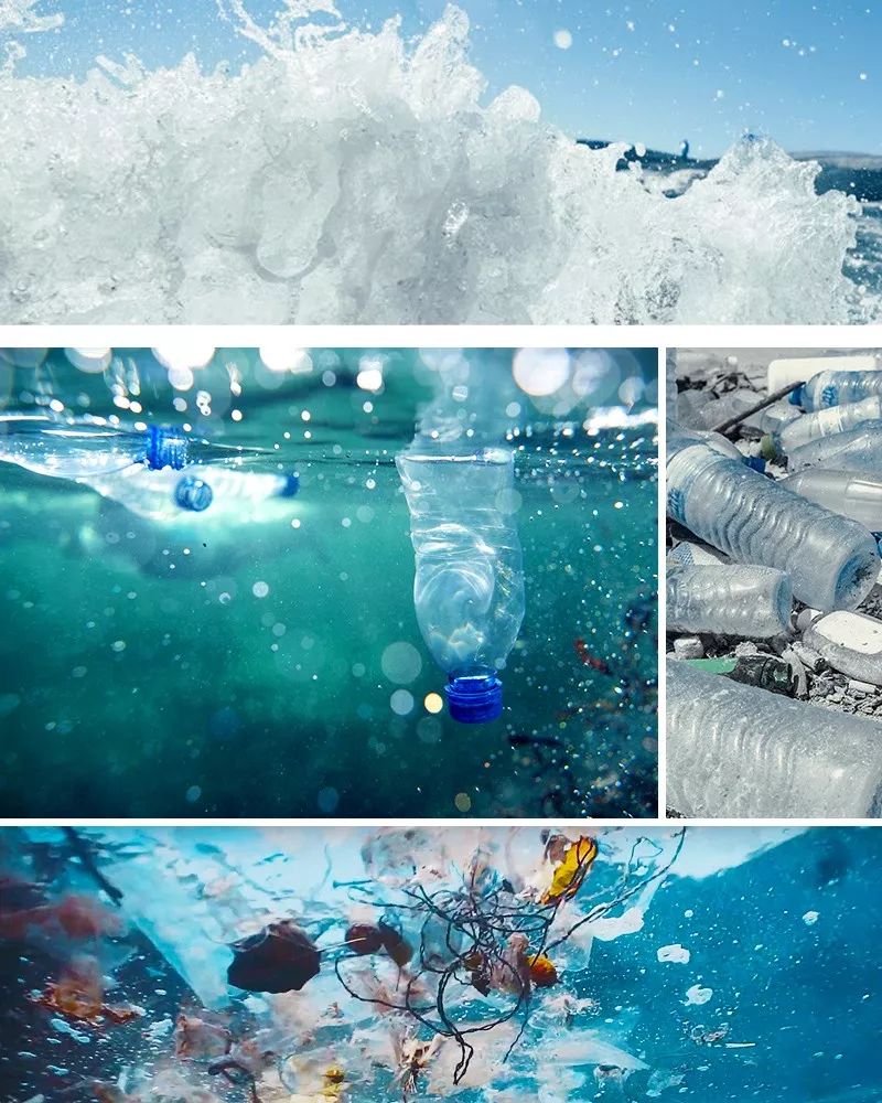 阿迪达斯“跑出蔚蓝”全球活动，为海洋环保助力