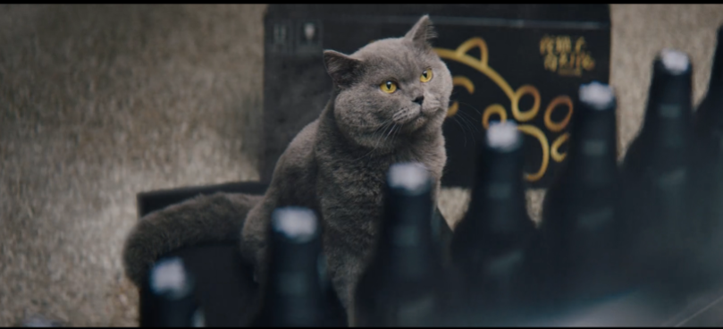 青岛啤酒再推“夜猫子”短片，携手华晨宇开启奇妙夜