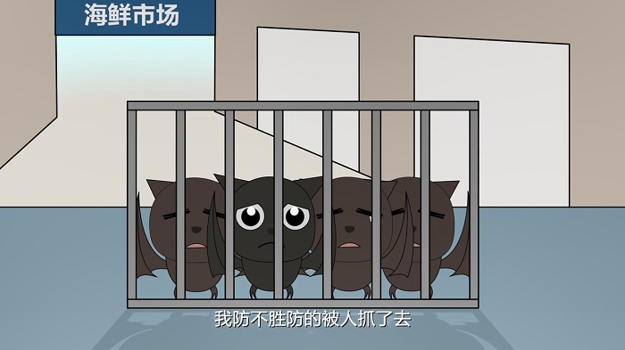 炫迈公益动画短片：一只蝙蝠的自白