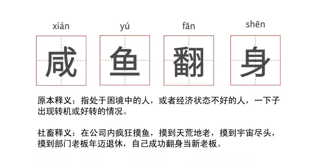 转转萌趣动画：怕鱼目混珠，不如去“转转”