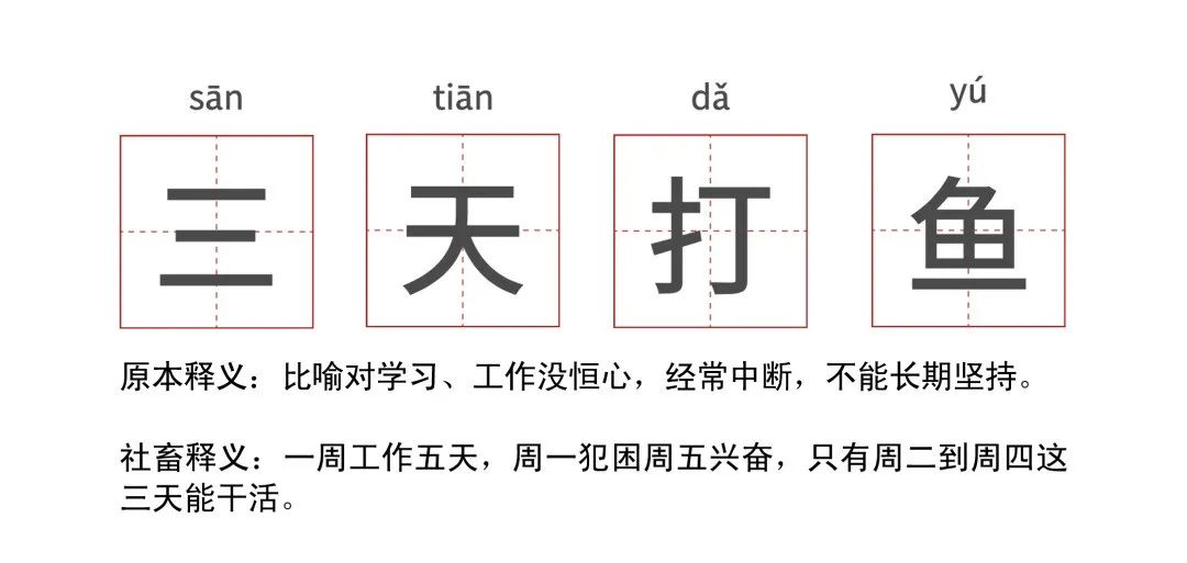 转转萌趣动画：怕鱼目混珠，不如去“转转”