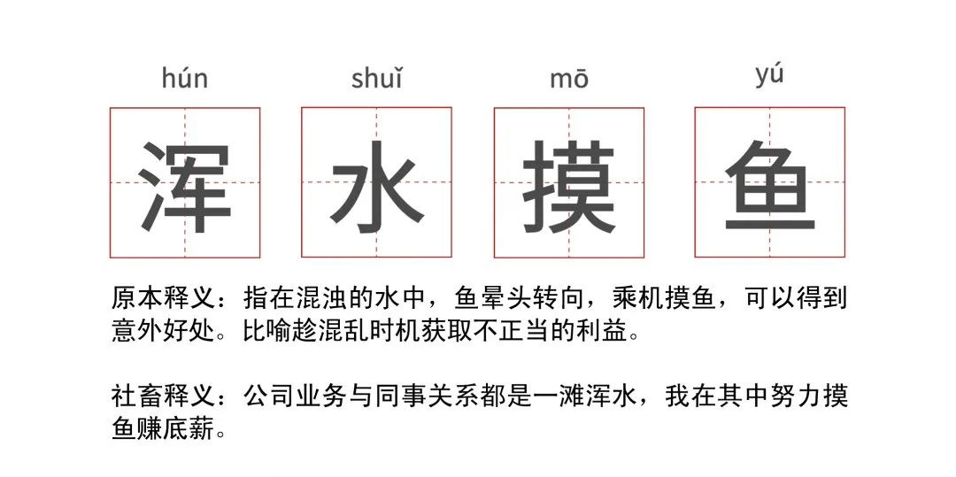 转转萌趣动画：怕鱼目混珠，不如去“转转”