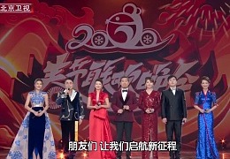 2020北京卫视春节联欢晚会LOGO | 毛婷