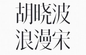 胡晓波浪漫宋优美字体设计