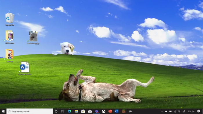  微软圣诞短片脑洞大开：一只狗的云端奇幻之旅